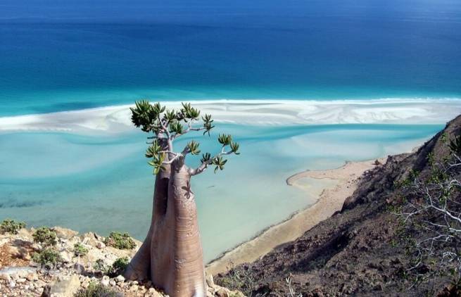 Socotra: Το πιο παράξενο νησί στον κόσμο