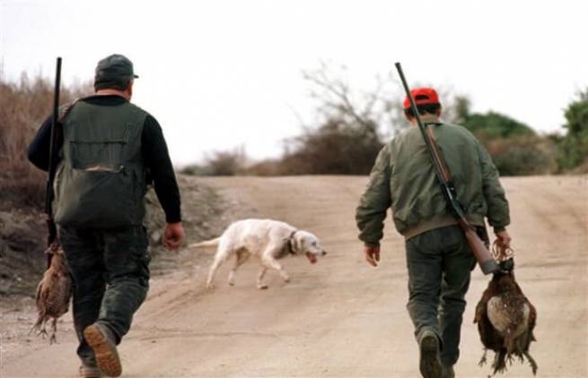 Προσωρινή απαγόρευση του κυνηγιού