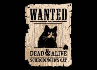 Wanted - Dead &amp; Alive