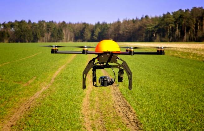 Drones φυτεύουν ολόκληρο δάσος (video)