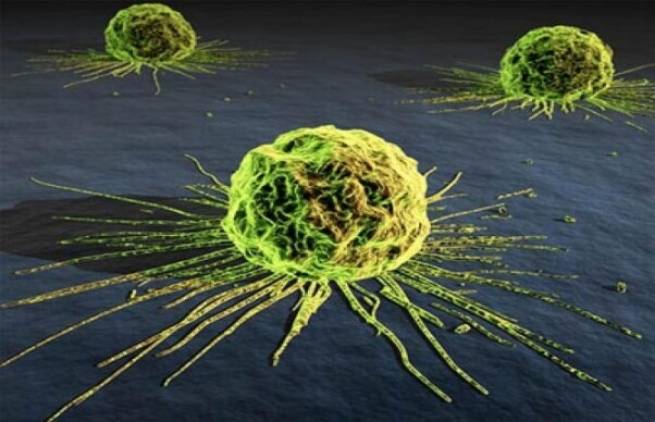 Καρκινικά κύτταρα - ζόρικες υπάρξεις σε περιμένουν με ακόρεστη διάθεση για καυτές μιτώσεις!