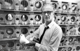 B.F. Skinner: Ο άνθρωπος που έμαθε στα περιστέρια να παίζουν Ping Pong