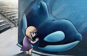 “The Orca”-Η αιχμαλωσία μιας Φάλαινας δεν είναι διασκέδαση αλλά κακοποίηση (video)